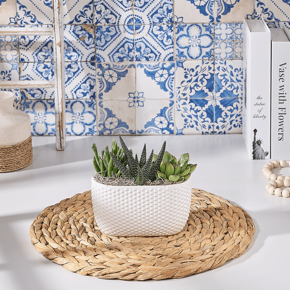 Modern Narrow Planter Gift