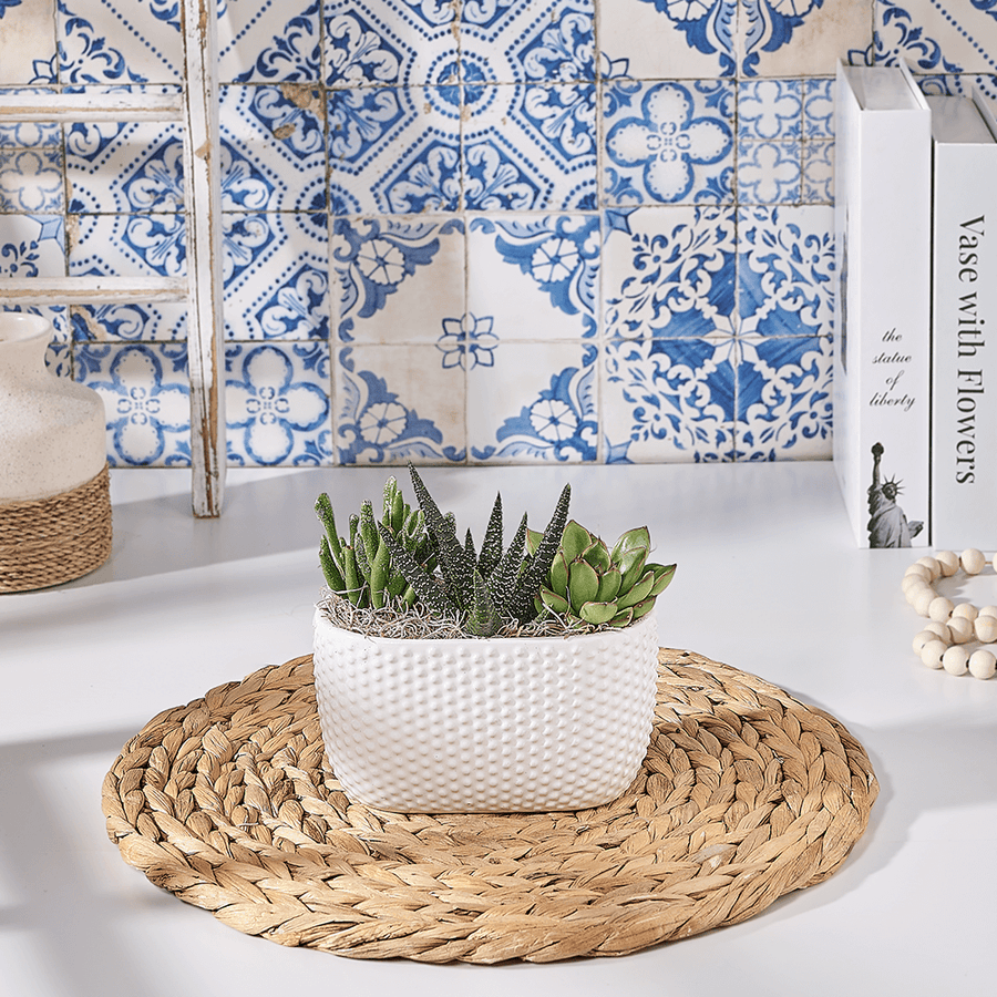 Modern Narrow Planter Gift, plant gift, plant, succulent gift, succulent, Canada delivery