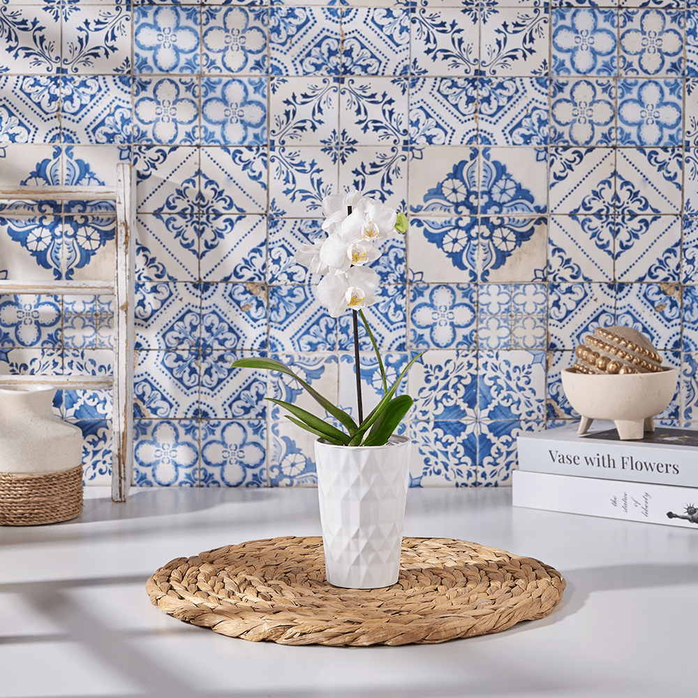 Petite White Orchid Gift