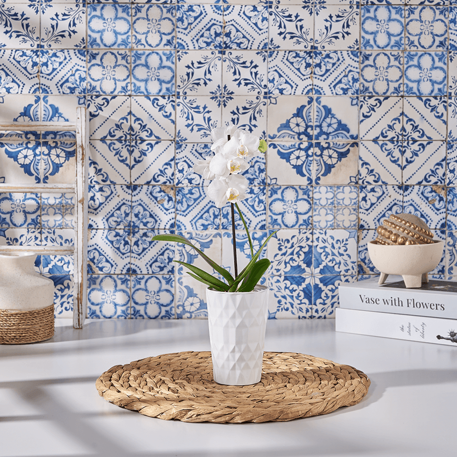 Petite White Orchid Gift, orchid gift, orchid, plant gift, plant, flower gift, flower, Canada delivery