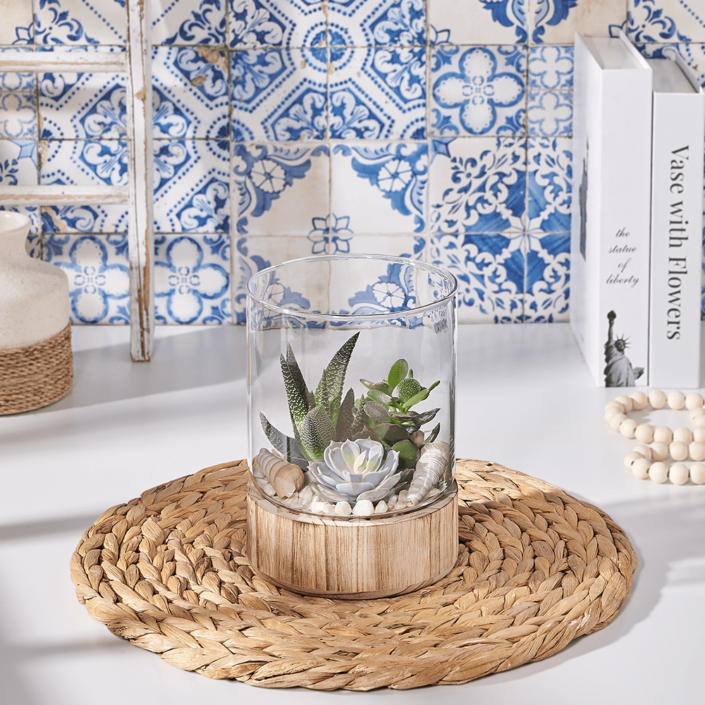 Succulent Garden Gift